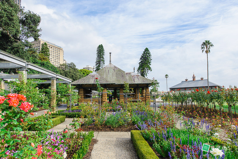 https://imagesbykevin.com.au/wp-content/uploads/2017/04/rose_garden_royal_botanic_gardens_sydney-6.jpg